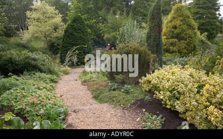 Angolo del Beth Chatto Gardens Elmstead mercato vicino a Colchester Essex Foto Stock