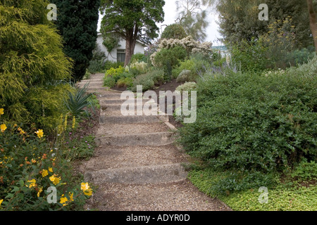 Angolo del Beth Chatto Gardens Elmstead mercato vicino a Colchester Essex Foto Stock