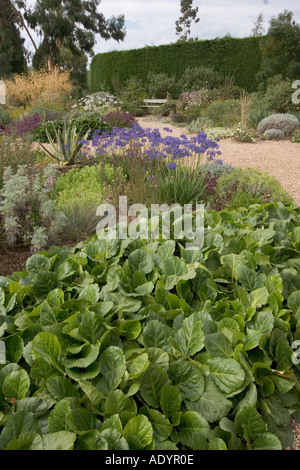 Angolo del Beth Chatto Gardens Elmstead mercato vicino a Colchester Essex GB UK Foto Stock