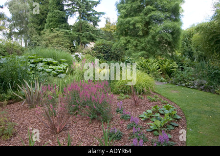 Il Beth Chatto Gardens Elmstead mercato vicino a Colchester Essex Foto Stock