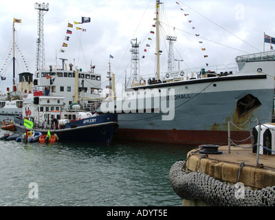 Trafalgar 200 celebrazioni e flotta internazionale di revisione e il Festival internazionale del mare Portsmouth Inghilterra GB UK 2005 Foto Stock