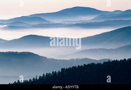 Morgennebel ueber den Bergketten der Smoky Mountains Appalachen Great Smoky NP North Carolina USA Ottobre Foto Stock