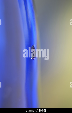 Waterdrop su una superficie di colore blu, Germania Foto Stock