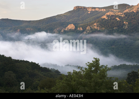 Nebbia di mattina nel Rodopi, Bulgaria, Orientale Rodopi, Madzarovo Foto Stock