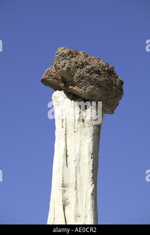 Wahweap Hoodoo Toadstoool Hoodoos calcare Escalante monumento nazionale USA Utah Foto Stock