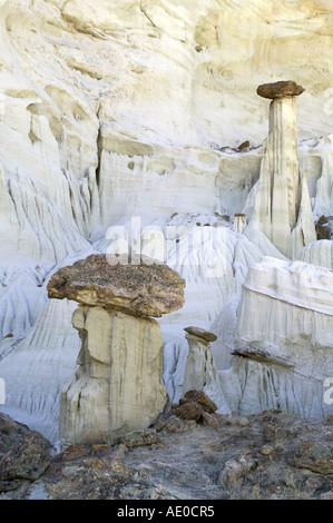 Wahweap Hoodoo Toadstoool Hoodoos calcare Escalante monumento nazionale USA Utah Foto Stock