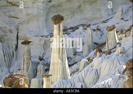 Wahweap Hoodoo Toadstoool Hoodoos calcare Escalante monumento nazionale USA Utah Foto Stock