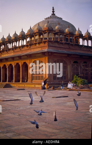 Piccioni davanti alla tomba di Islam Khan, in Jami Masjid moschea al Fatehpur Sikri, Uttar Pradesh India Asia Foto Stock