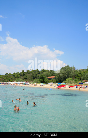 Kalogria Beach sulla penisola di Sithonia sulla penisola di Chalcidice in Grecia Foto Stock