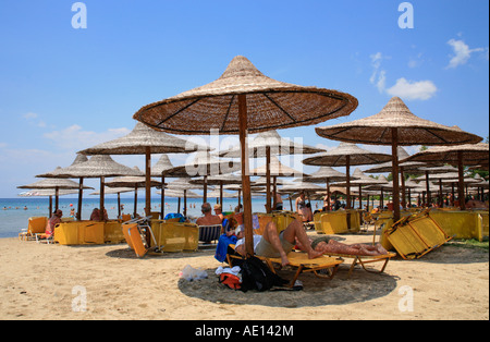 Ombrelloni presso la spiaggia di Elia sulla penisola di Sithonia sulla penisola di Chalcidice in Grecia Foto Stock