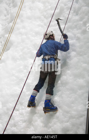 FRANZ JOSEF costa ovest di Isola del Sud della Nuova Zelanda può una donna che indossa tutti gli ingranaggi di sicurezza rampicante di quindici vie di arrampicata Foto Stock