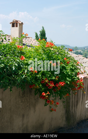 Una immagine di una tipica casa a Sommieres in Gard Languedoc Roussillon. Il sud della Francia. Foto Stock