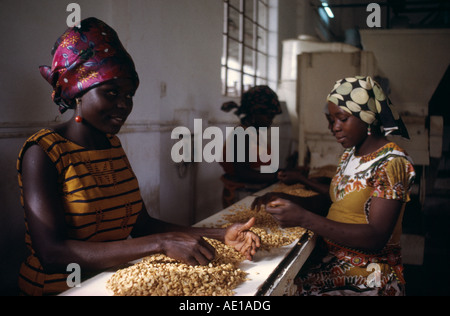 La Nigeria West Africa Kano le donne che lavorano in olio di arachide factory Foto Stock