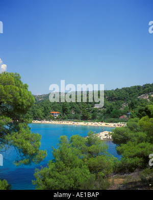 Kalogria Beach sulla penisola di Sithonia sulla penisola di Chalcidice in Grecia Foto Stock