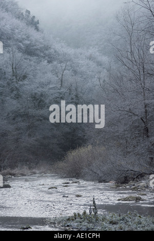 Sentino fiume nella valle di Frasassi in inverno con nebbia e alberi ghiacciati Italia Foto Stock