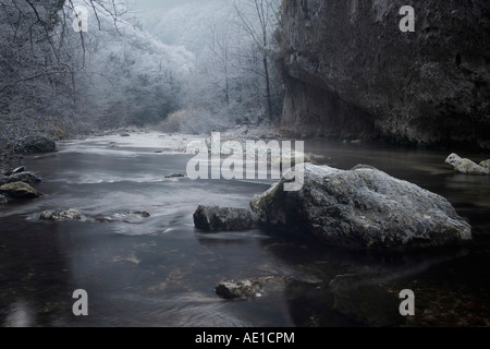 Sentino fiume nella valle di Frasassi con nebbia e ghiaccio in mattina presto in Italia Foto Stock