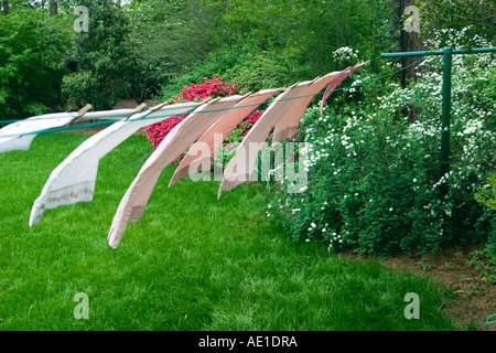 Rosa e Bianco biancheria appesa sulla linea che soffia nella brezza contro l'erba verde e cespugli di estate Foto Stock