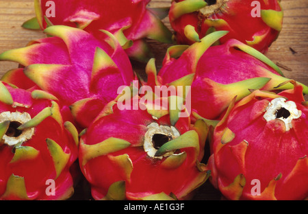 Red pitahaya, fragola pera, notte-blooming cereus (Cereus triangularis, Hylocereus triangularis, Hylocereus undatus), frutta Foto Stock