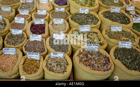 Una selezione di erbe e spezie per la vendita su un tipico mercato francese nel Languedoc Roussillon regione del sud della Francia Foto Stock