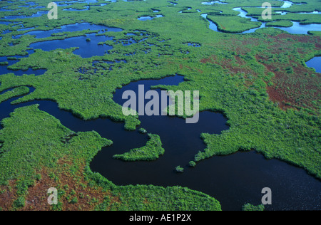 Vista aerea del Parco nazionale delle Everglades Florida USA Foto Stock