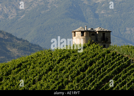I vigneti e la costruzione di tardo pomeriggio luce, Valle d'Aosta, Italia Foto Stock