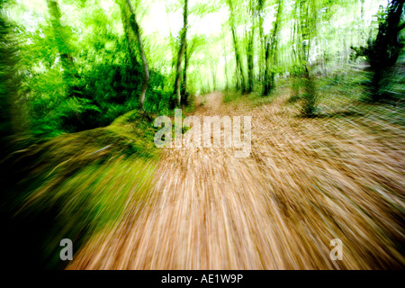 Accelerando attraverso i boschi Foto Stock