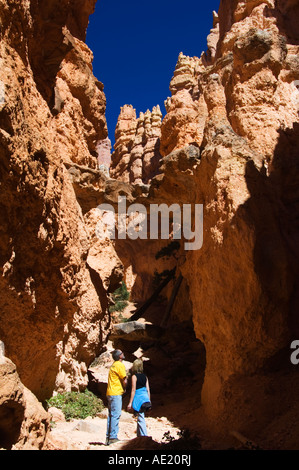 USA Utah Bryce Canyon National Park gli escursionisti in un canyon colorato e pinnacoli di roccia noto come Hoodoos Foto Stock