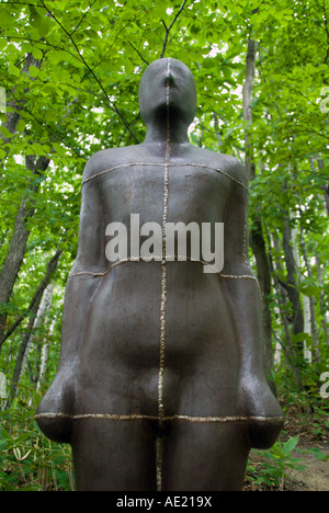 Scultura realizzata da ferro chiamato albero II di Antony Gormley al Sapporo Art Park di Hokkaido in Giappone Foto Stock