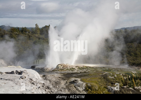 TE PUIA ROTORUA Isola del nord della Nuova Zelanda può il vapore caldo che salgono dal Principe di Galles e Pohutu geyser area di attività geotermica Foto Stock