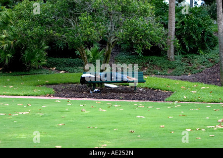 Senzatetto transitoria uomo addormentato su una città una panchina nel parco Foto Stock