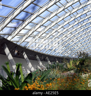 Una vista interna di Norman Foster grande Glasshouse National Botanic Garden of Wales Llanarthne Carmarthen in Carmarthenshire Wales UK KATHY DEWITT Foto Stock