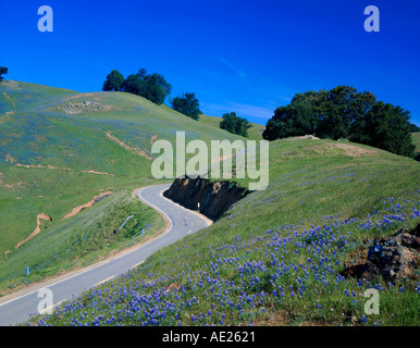 Monte Tamalpais State Park a Marin County in California USA Foto Stock