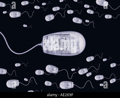 X RAY XRAY immagine fotografica del mouse per computer nuoto come lo sperma Foto Stock