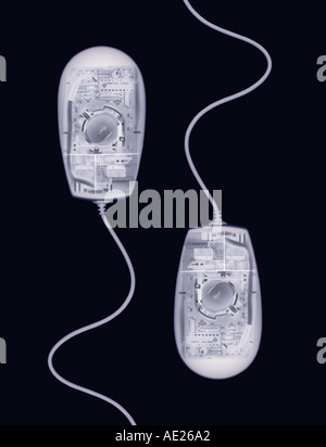 X RAY XRAY X-RAY immagine fotografica del mouse per computer nuoto come lo sperma Foto Stock