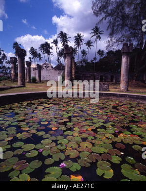 Zanzibar Lilly pond presso il Palazzo Maruhubi Foto Stock