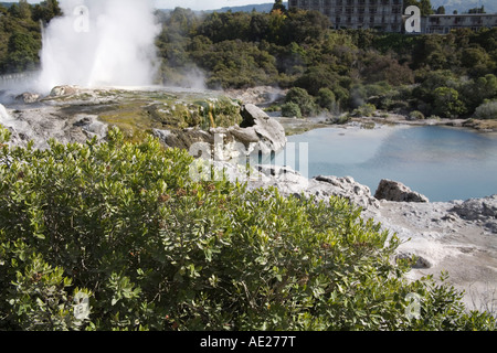 TE PUIA ROTORUA Isola del nord della Nuova Zelanda può guardare verso il basso sul blu piscina con vapore passando da Pohutu geyser Foto Stock