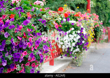 Fiori dal lato della strada su un ponte sul fiume Somme in Péronne, Francia. Foto Stock