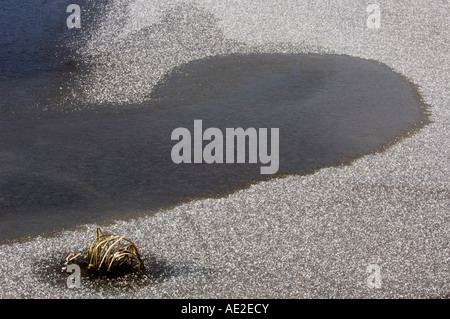 Fairbank Creek con ghiaccio fresco, brina e il litorale di graminacee, maggiore Sudbury, Ontario, Canada Foto Stock