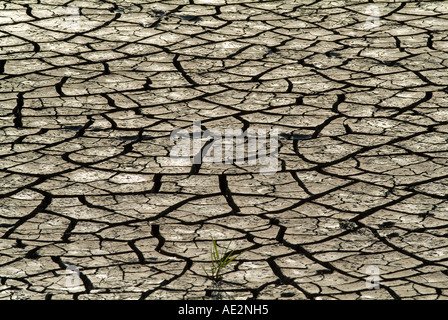 Asciutto lago di Inghilterra, estate 2006 Foto Stock