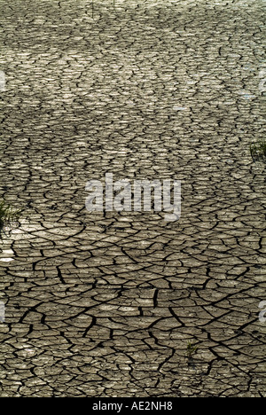 È incrinata e dry Riverbed, Inghilterra. Estate 2006 Foto Stock