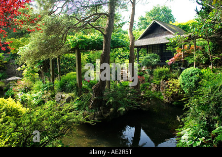 I giardini giapponesi nell'Irish National Stud a Tully, Kildare, Irlanda. Foto Stock