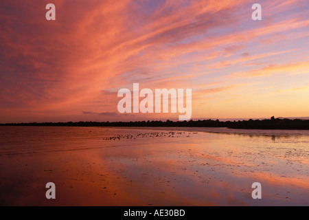 California, Eastshore parco statale, la baia di San Francisco al tramonto Foto Stock