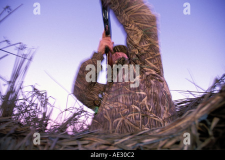 California, Suisin Marsh, anatre caccia, possibile Club Foto Stock