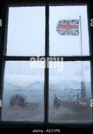 Port Lockroy in Antartide, guardando attraverso la finestra al pinguino Gentoo. Foto Stock