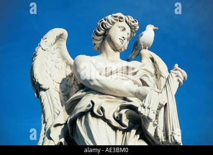 Un Gabbiano si trova sulla cima di una statua di un Angelo a Roma Italia Europa Foto Stock
