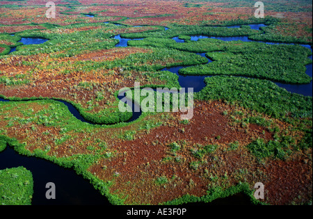 Vista aerea del Parco nazionale delle Everglades Florida USA Foto Stock