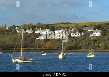 Vista da John Musgrave Heritage Trail del villaggio Dittisham attraverso il fiume Dart in South Devon Foto Stock
