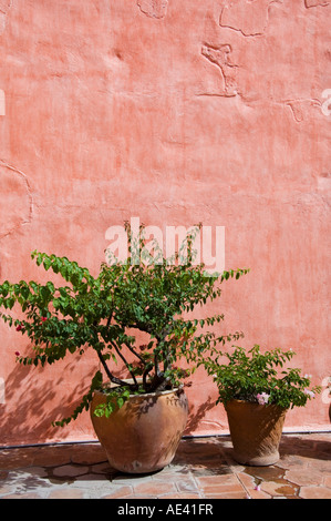 L'Hotel Camino Real nel XVI secolo il convento di Santa Catalina, città di Oaxaca, Oaxaca, Messico Foto Stock