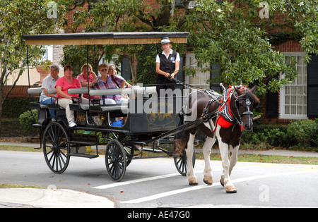 Carro trainato da cavalli tour Lafayette Square Savannah in Georgia negli Stati Uniti Foto Stock