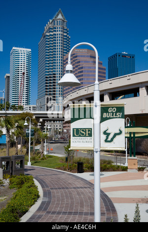 USF striscioni sul lampione con downtown Tampa Florida in background Foto Stock